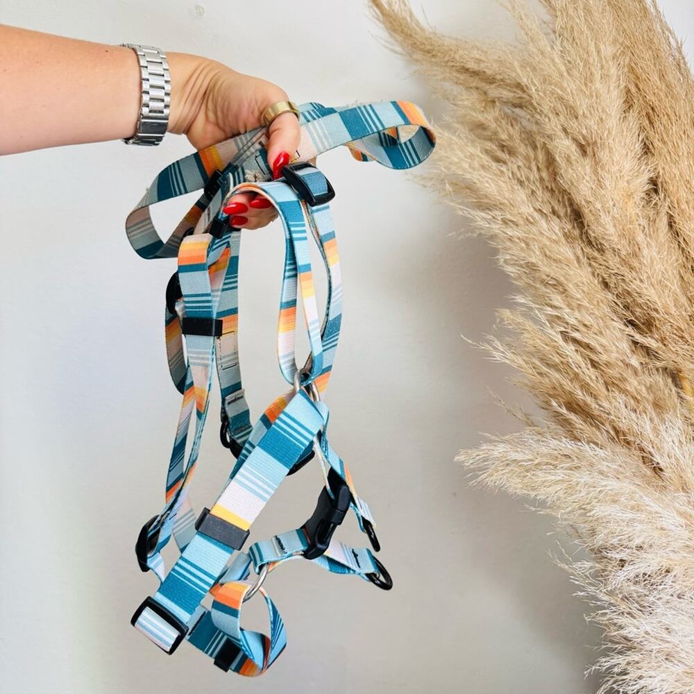 LEEDS Doheny White Blue Stripe Dog Leash Buckle Collar Step Harness $135 Set - Picture 10 of 16